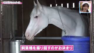 【超かわいい】ソダシのプライベート映像を大公開！｜競馬好き女子会
