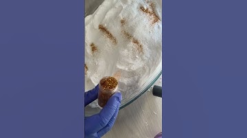 Squeaky baking soda ⚠️ Tutorial ⚠️ video №2