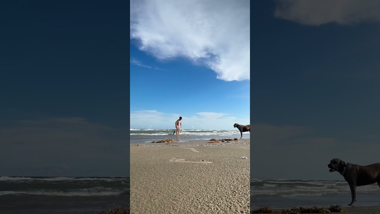 Catching That Sun Vitamin And Taking Benny For A Swim 