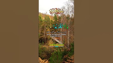 سورة الإسراء #القران #اكسبلور #القاريء #قران_كريم #duet