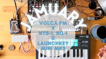 Shall we turn on the aircon? (Jamuary 26) // Volca FM, NTS-1, SQ-1, Launchkey Mini Mk3, Coffee
