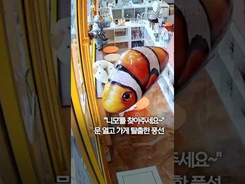 &amp;quot;&amp;#39;<strong>니모</strong>&amp;#39;를 찾아주세요~&amp;quot;…문 열고 가게 탈출한 풍선 #shorts