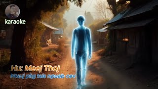 Ntsuj Plig Tsis Npuab Cev Karaoke2025