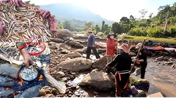 Chặn cả dòng suối kiếm cá suối trên thượng nguồn, kiếm ăn mùa Đông lạnh | Nhiệt Đới Vlog