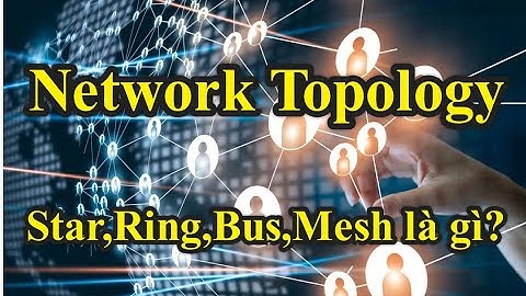 Chức năng network của máy in là gì