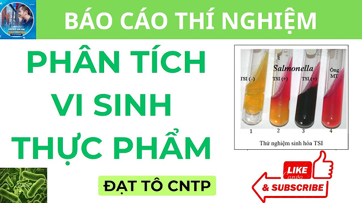 Báo cáo thí nghiệm phân tích hóa lý thực phẩm năm 2024