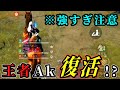 【荒野行動】王者Ak復活!?めろちゃが強すぎた試合