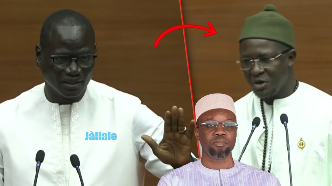 Abdourahmane Diouf sert une réplique sanglante à Cheikh Bara Ndiaye : « Nañu tappé xol yi té... »