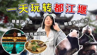 【川藏旅游EP15】成都城外都江堰你听说过吗？没想到这里这么好逛！夜景熊猫通通有！