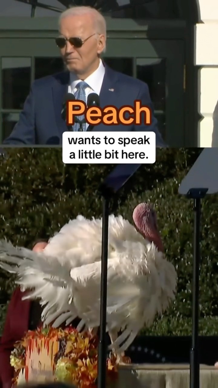 Biden pardons two turkeys from Minnesota ahead of Thanksgiving #shorts