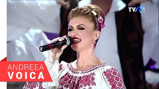 Video thumbnail of "Andreea Voica - Spectacol Aniversar 35 ani - Banat"