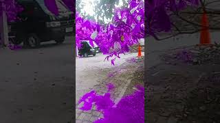 Download Lagu 8 September 2025 MP3