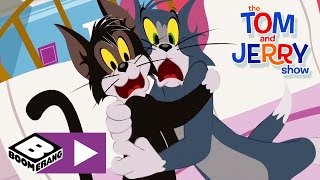 Watch jerry wake up the cats in tom & show! subscribe to boomerang uk
channel: https://www./channel/ucmst562faloy2ckb4ifgqeg...