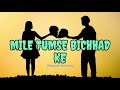 Mile Tumse Bichhad Ke Hum [Slowed+Reverb] Lo-Fi Song#lofisong