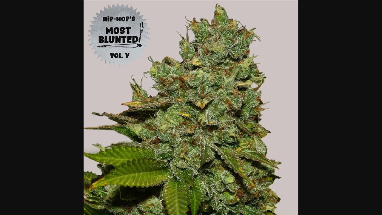 VA - Hip Hop's Most Blunted Vol. 5 (2025) VA - Hip Hop's Most Blunted Vol. 5 (2025)