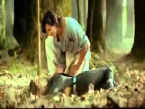 ايهاب توفيق فى حضنك