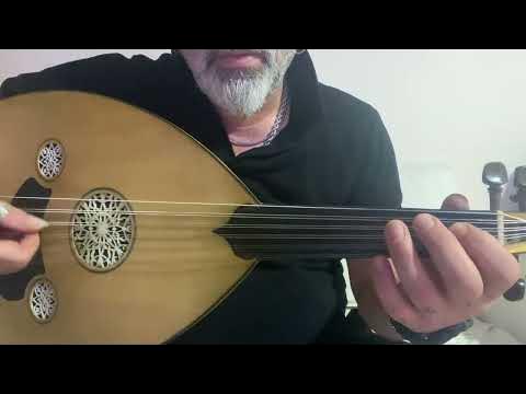 Bir ayol jinsiy aloqa uchun qora tanli odamni chaqirdi.