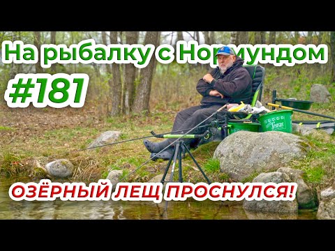 БОЛЬШИЕ ЛЕЩИ ЛЕСНОГО ОЗЕРА! / На рыбалку с Нормундом #181
