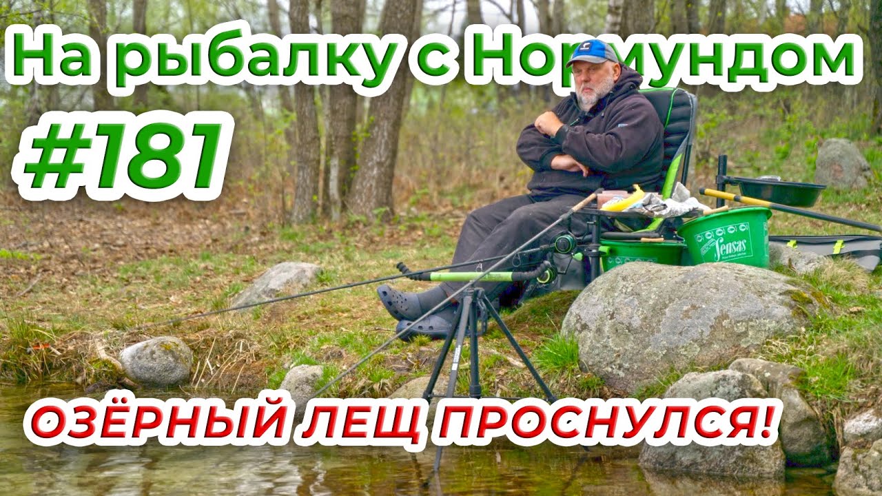 БОЛЬШИЕ ЛЕЩИ ЛЕСНОГО ОЗЕРА! / На рыбалку с Нормундом #181