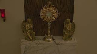 Adoration at Our Lady of Guadalupe Sacred Adoration Live Stream