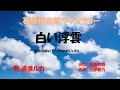 「白い浮雲」歌詞あり ヒロとルカ