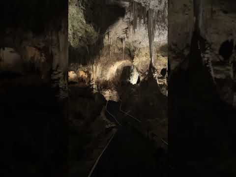 Video: New Mexico Carlsbad Cavernsi rahvuspark