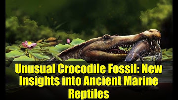 Unusual Crocodile Fossil: New Insights into Ancient Marine Reptiles