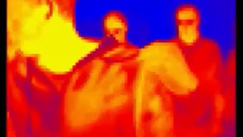 Heimann Sensor 80x64 Thermopile Array