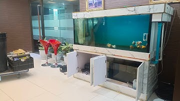 JMT ลาดกระบัง - งานย้ายตู้เฟอร์ 72 30 30 มีปลาทอง ภายในออฟฟิศพร้อมทำระบบ Overflow All Services Set 1