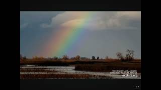 Sacramento National Wildlife Refuge Spectacular Rainbow 02.01.2024 (explore.org)