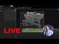 Livestream about my settings in Reality Scan for the Fanal Forest Project