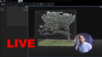 Livestream about my settings in Reality Scan for the Fanal Forest Project