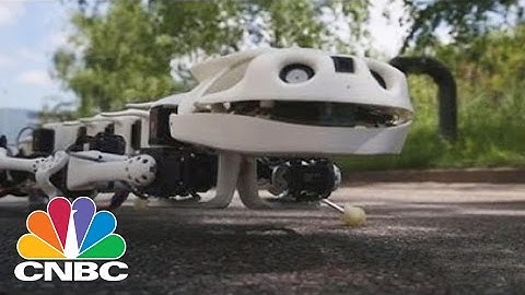 Salamander Robot Could Help Amputees, Paraplegics With Movement | CNBC