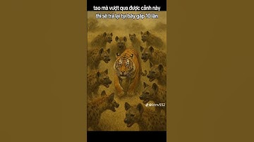 quân tử và tiểu nhân không thể chung đường !!!