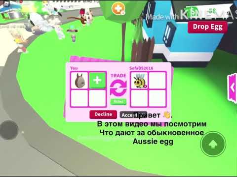 Что дают за одно Aussie egg /5 трейдов/на один трейд согласие/