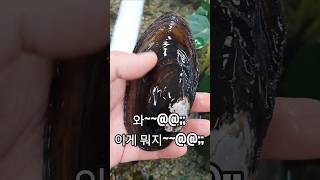 이 거대한 덩어리는 도대체 뭐지~?? 한개만 먹어도 배가 부를듯한 크기~!
