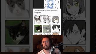 Anime Characters Are Cats