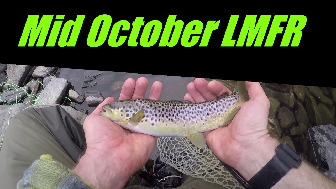 Fly Fishing the Lower Mountain Fork River in Oklahoma for Huge