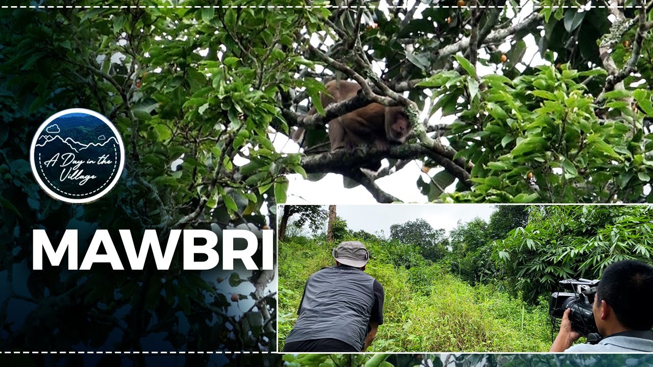 A DAY IN THE VILLAGE MAWBRI