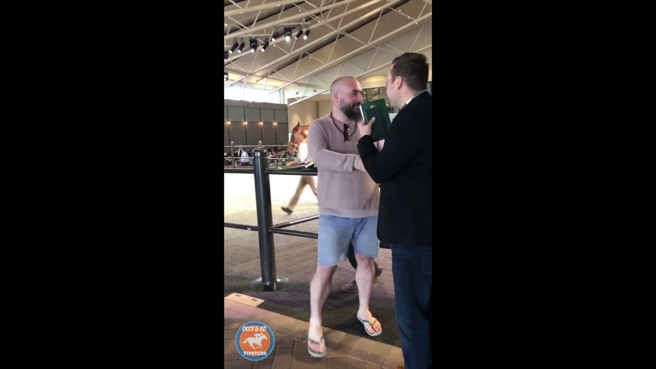 Occy and Co Tipsters Horse Racing Tips - Horse Race Anticipation