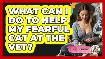What Can I Do To Help My Fearful Cat At The Vet? - Happy Cat Handbook