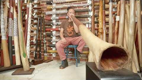 jesse lethbridge didgeridoo   key of C#(web code 4451)