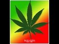 Time 4 Hemp - 03/08/16