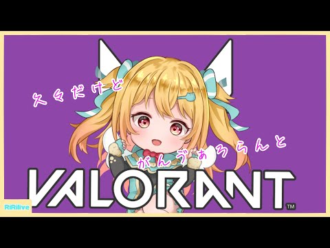 【ゲーム配信】VALORANT/思い出し。。【小鳥遊りりあ】