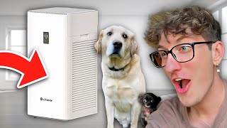 Lífubide Air Purifier Review