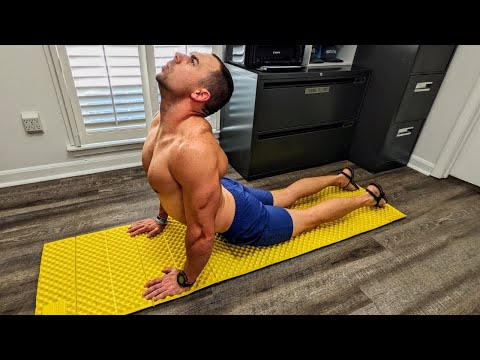 8 Min Full Body Stretch Routine (7 Year Habit)