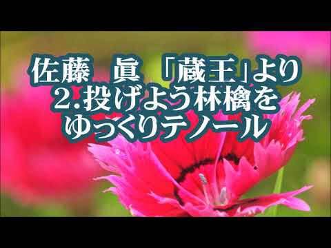 佐藤眞　「蔵王」より　２．投げよう林檎を　テノール