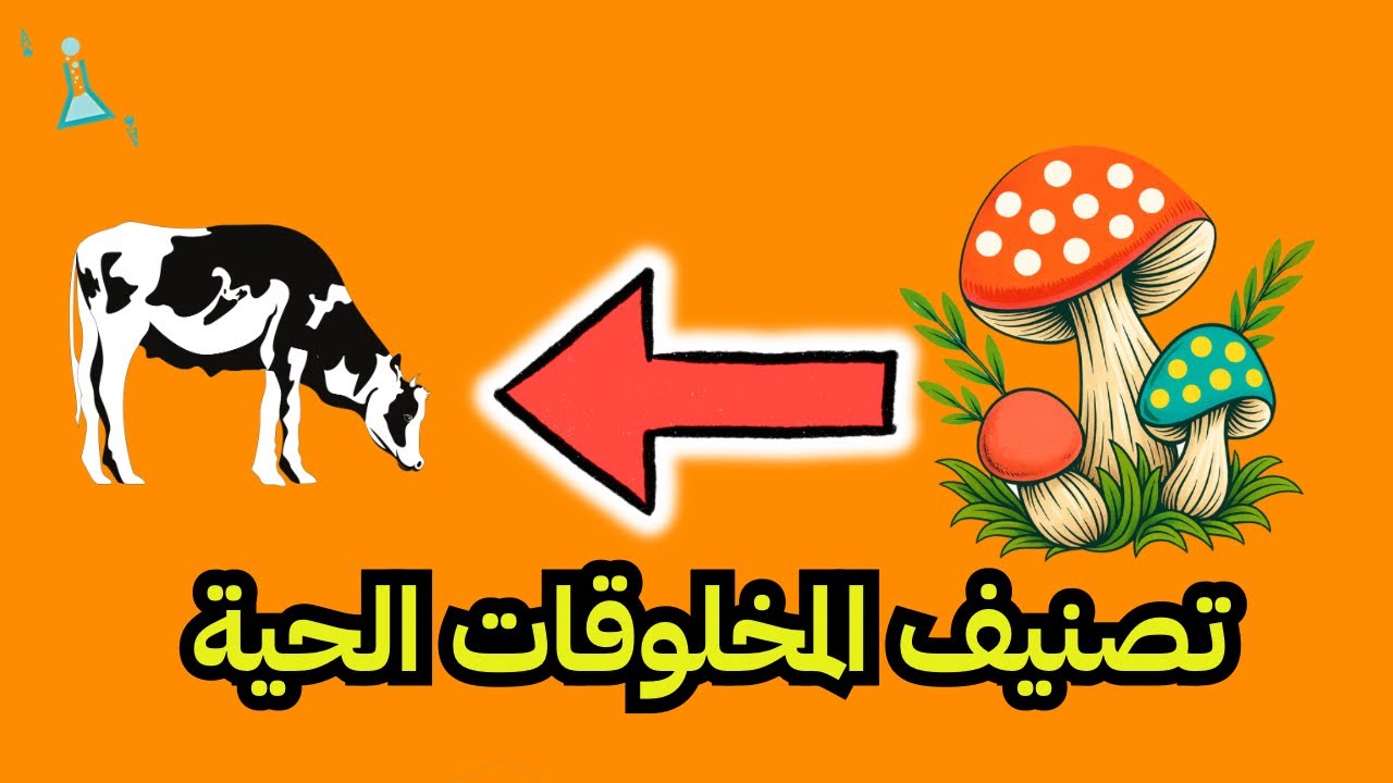 تصنيف المخلوقات الحية - علوم الصف الخامس الابتدائي - YouTube
