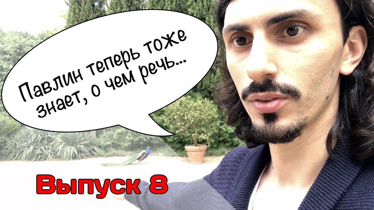 Адам Мамедов Астролог Отзывы