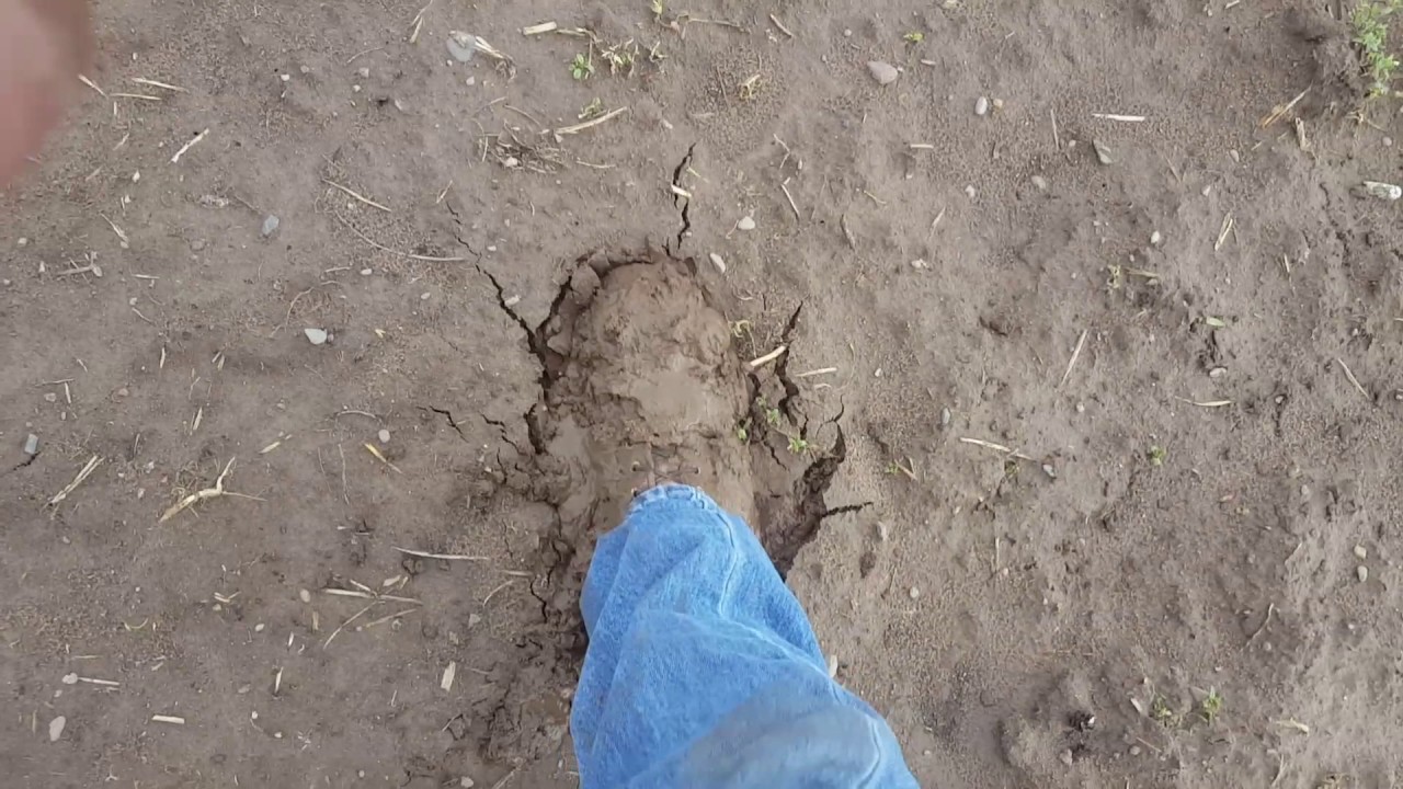 Tilled ground after the rain.